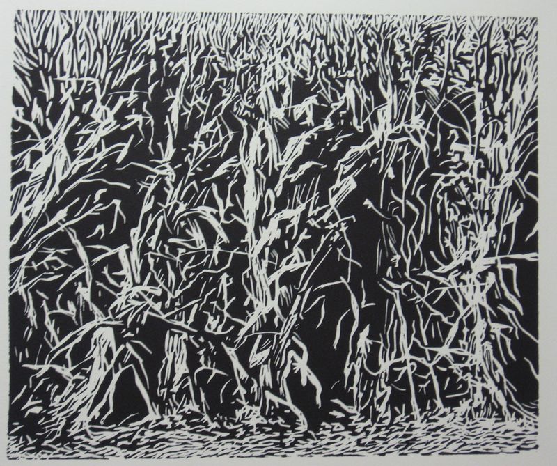 Corn Husks.JPG