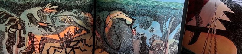 IMG_7953.jpeg