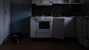 A dimly lit kitchen with a dog resting on a bed near the stove.