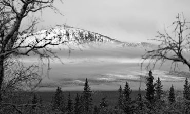 Snow-covered mountain peak with fog and trees in foreground.