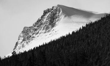 Snow-covered mountain peak above dense forest in black and white.