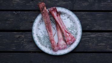 Two raw, bloody bones on a white plate with green patterns.
