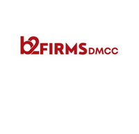 B2Firms Dmcc
