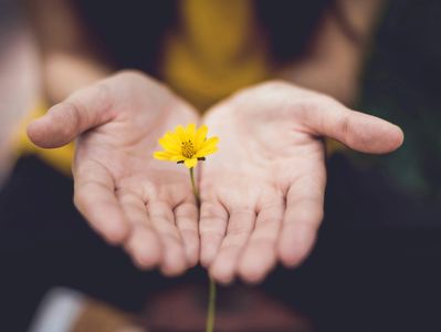Two hands cupped together holding a yellow flower as an offering