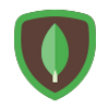 MongoDB - a cross-platform document-oriented database program, classified as NoSQL database