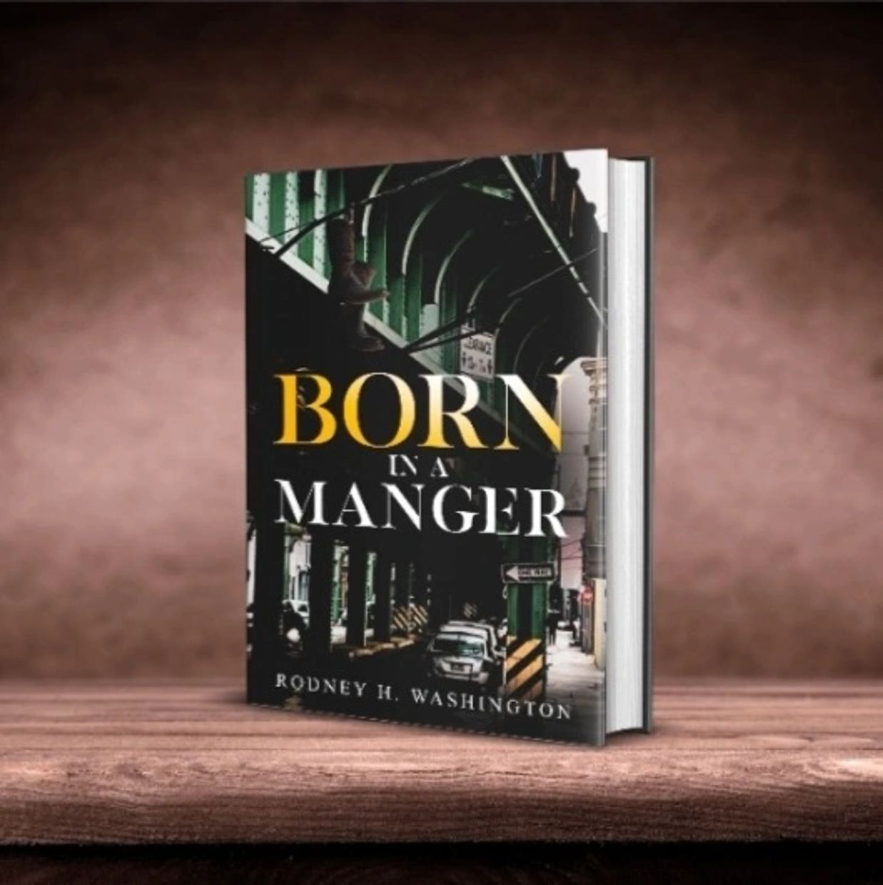 Novel : Adult Fiction Thriller 
Author: Rodney H. Washington
