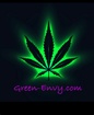 Green Envy