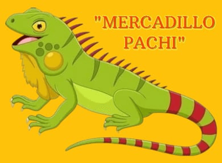 MERCADILLO PACHI ®