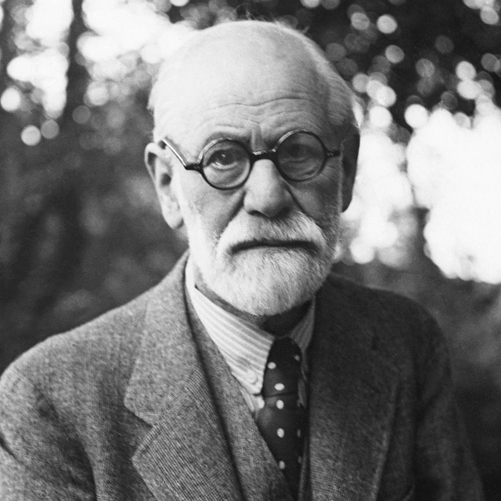 Child Development Theories: Sigmund Freud