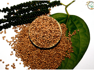 White pepper is a member of the pepper family Piperaceae and is used for many health and aromatic pu