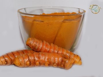 Turmeric is one of the most important spice crops and is used in food as a colorant and also in Ayur