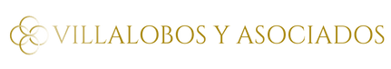 Villalobos & Asociados