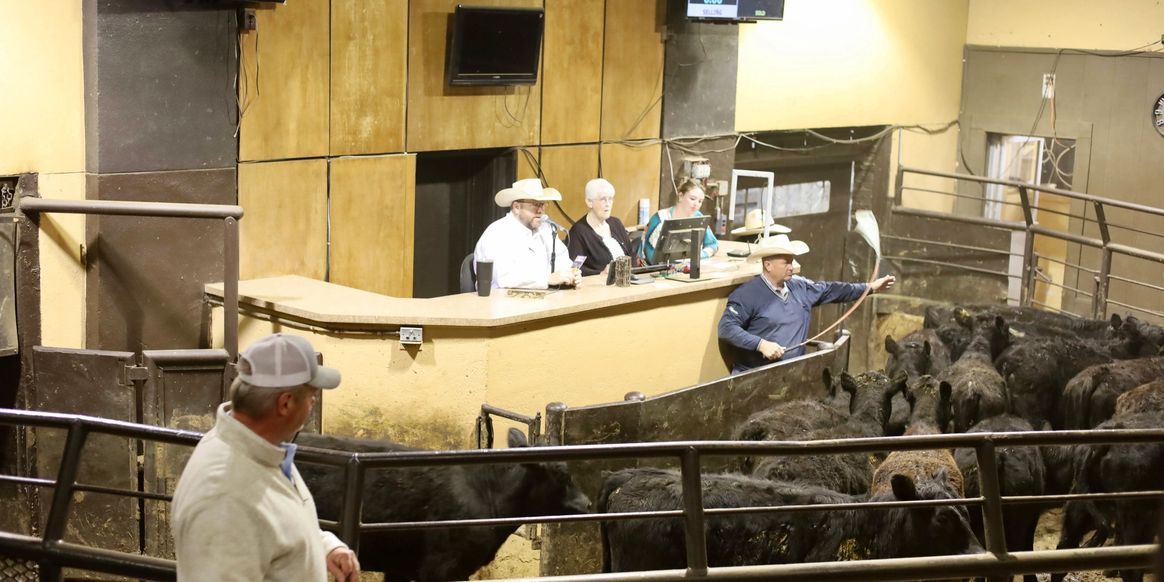 Stockman-Oklahoma Livestock Marketing