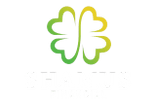 Shamus Financial Services