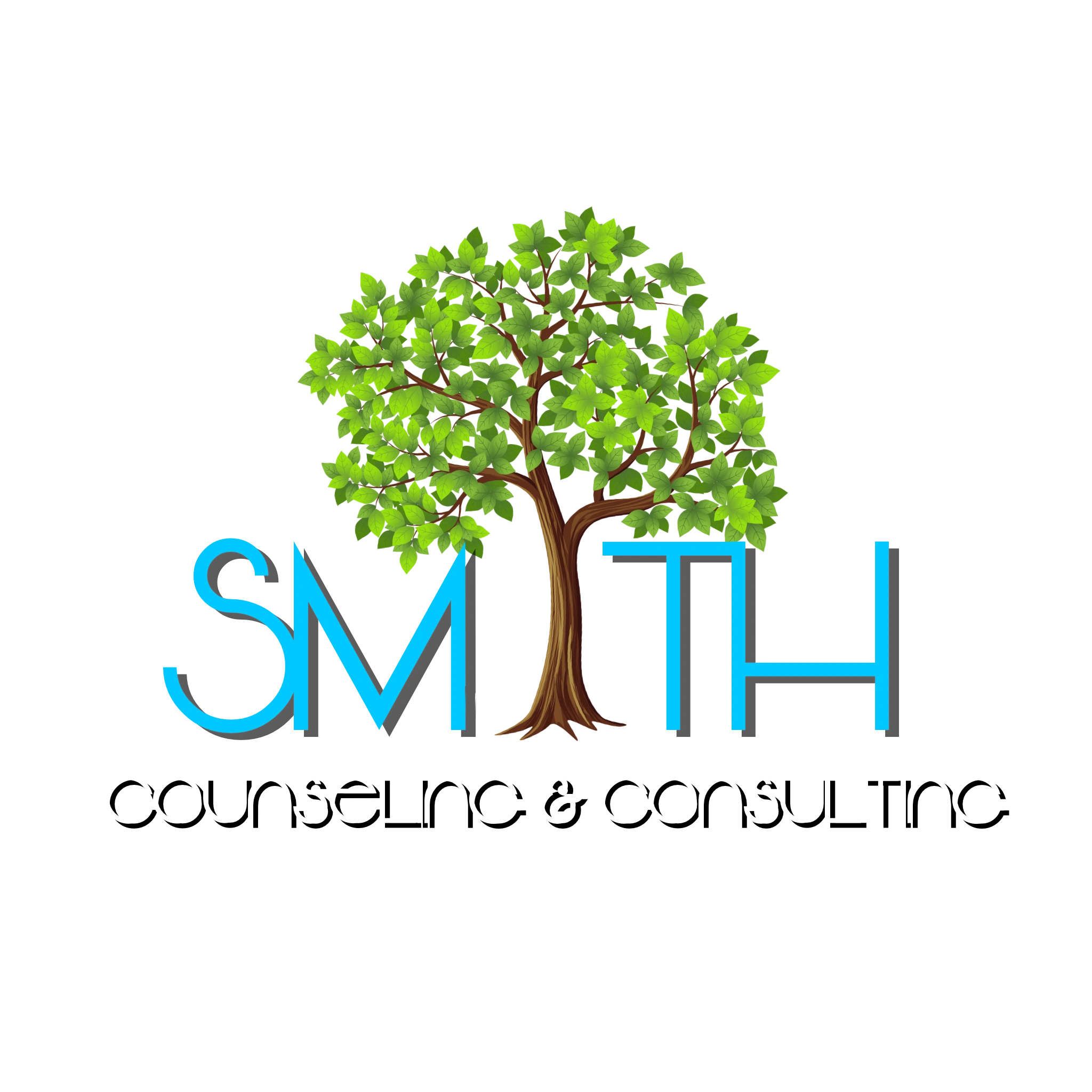 1 1 Counseling Session existing Clients Only 