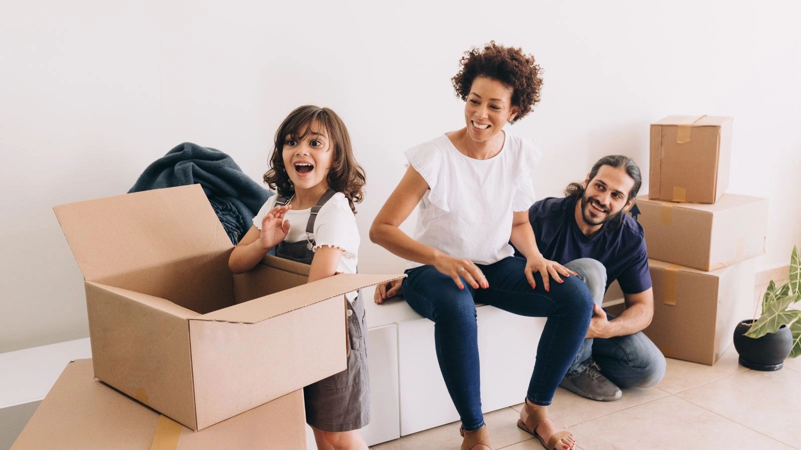 Stress-free man and van service across regions