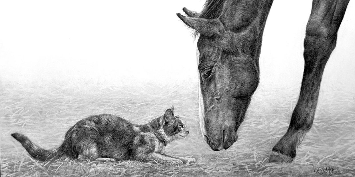 "Barnyard Friends"
A pencil drawing of a young horse looking at a barn cat.