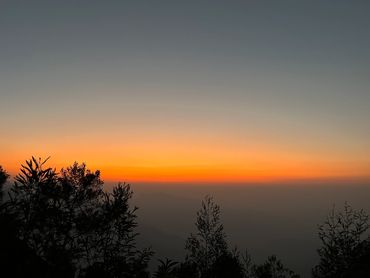Sunset with silhouetted plants and a gradient sky.