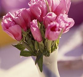 Flowers In Vase