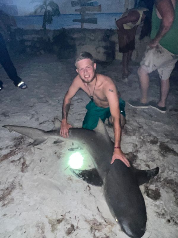 Shark caught in fort myers beach 
