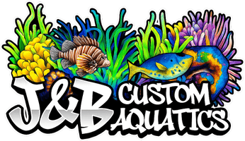 J&B Custom Aquatics 