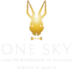 One Sky