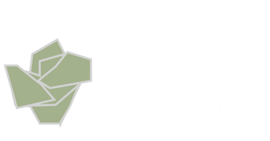 RODO Consulting
