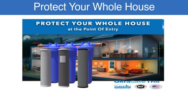 Whole house water filter 