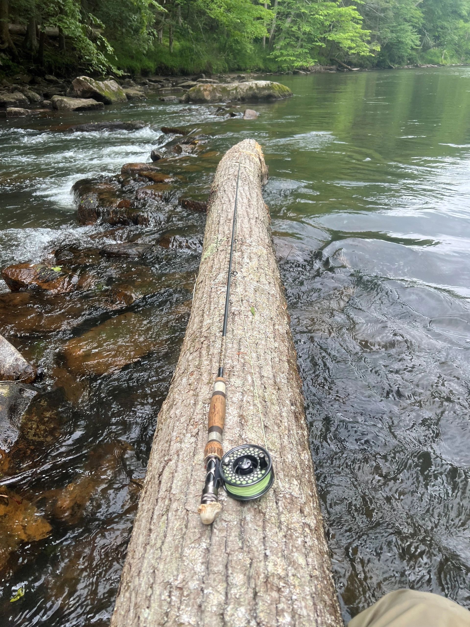 A fishing rod resting on a log over a flowing river surrounded by greenery.