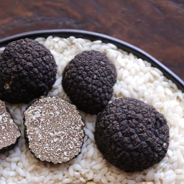 Close-up of sliced black truffles.