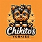 CHIKITO'S YORKIES