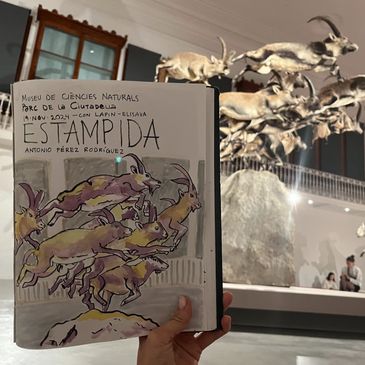 "Estampida" de Antonio Pérez Rodríguez. Al Museu de Ciències Naturals al Parc de la Ciutadella, 2025
