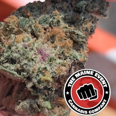 Close-up of a cannabis bud with orange hairs and trichomes.