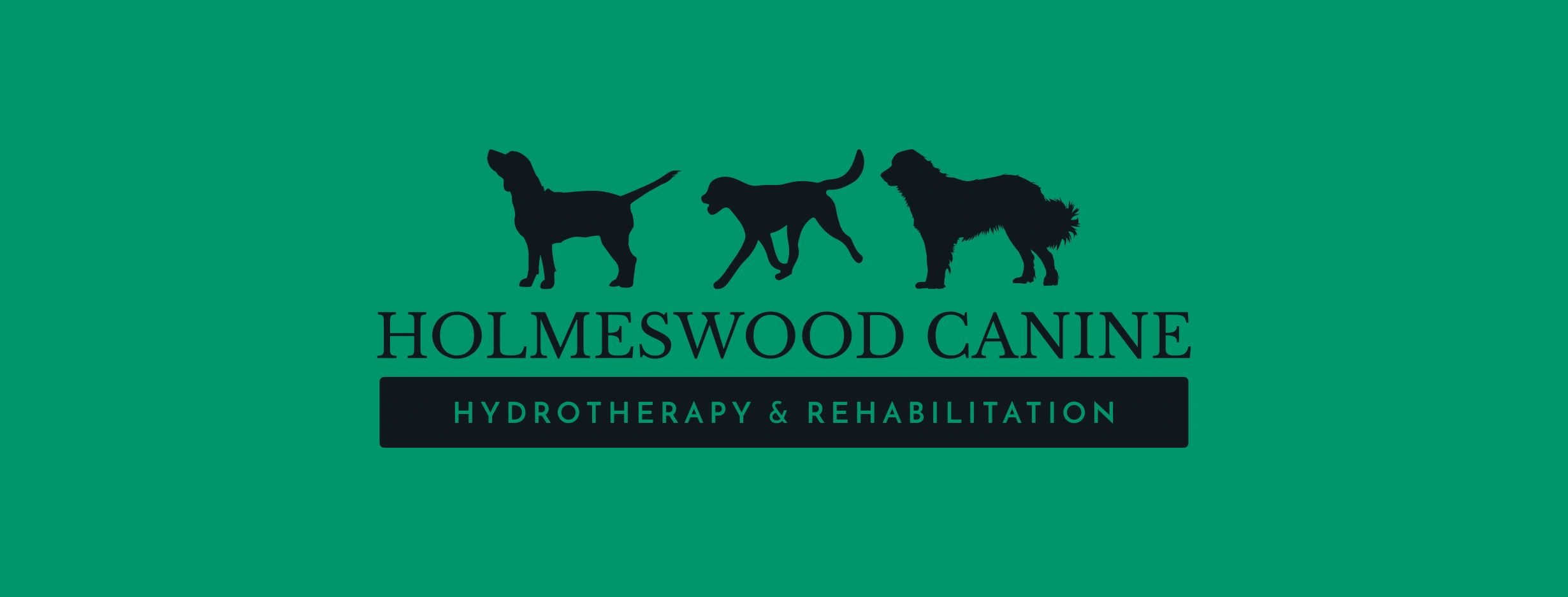 Referral Form Holmeswood Canine Hydrotherapy Rehabilitation Referral form holmeswood canine hydrotherapy rehabilitation