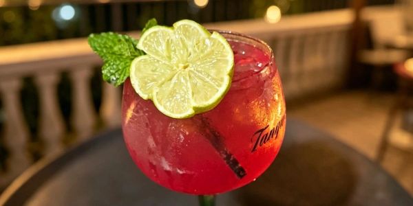 Cóctel rojo con rodajas de limón y hoja de menta.