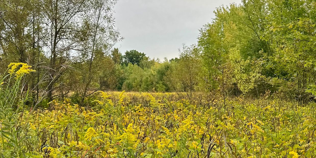 Eagle Creek Park, Indianapolis