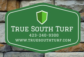 True South Turf