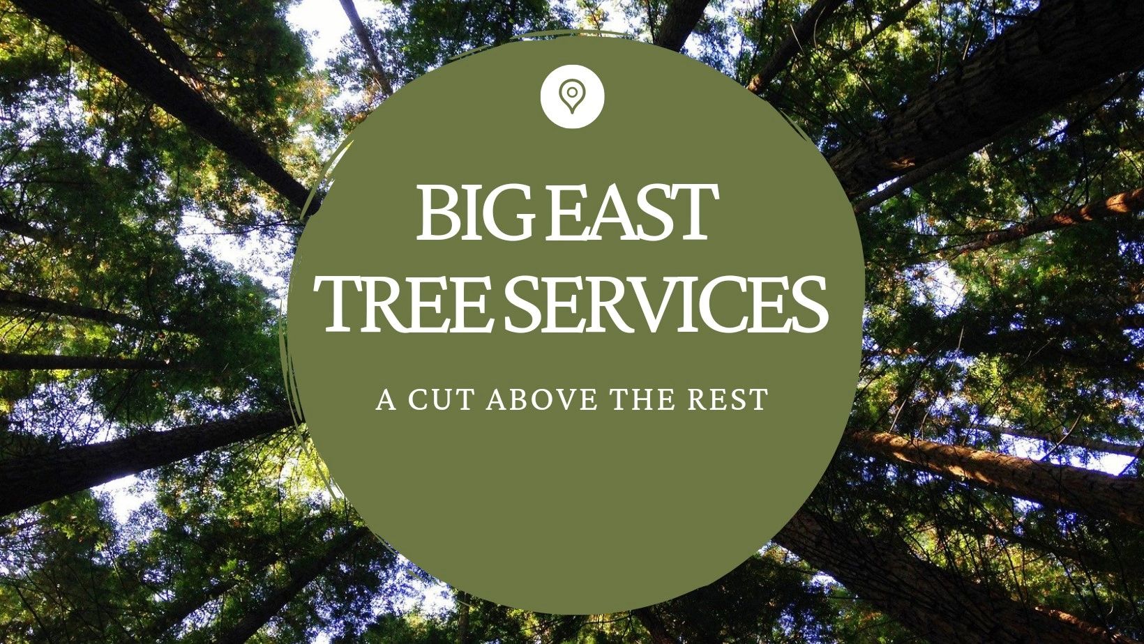 Big East Tree Services 