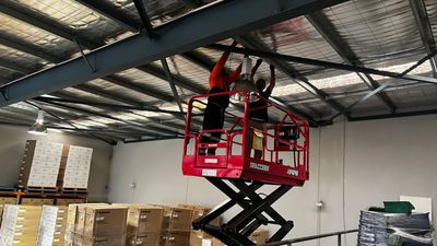 Security Camera Installation Brisbane | CCTV Installers Brisbane – HICCTV