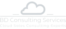 BD Consulting Services