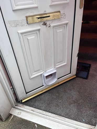 Cat flap installed front
