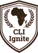 Leadership Institute Africa