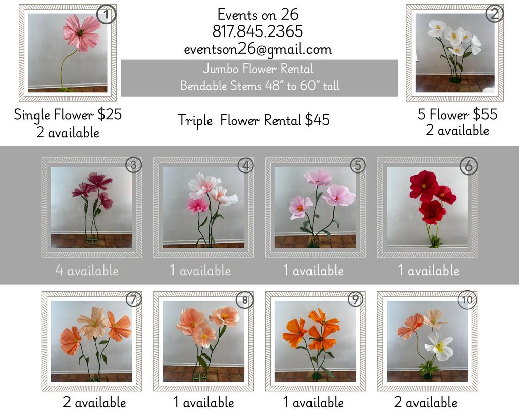 Jumbo Flower Wall for Rent