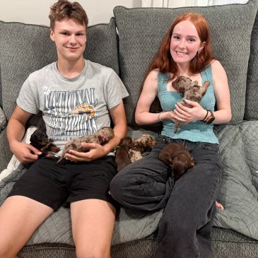 Two people sitting on a couch with several puppies.