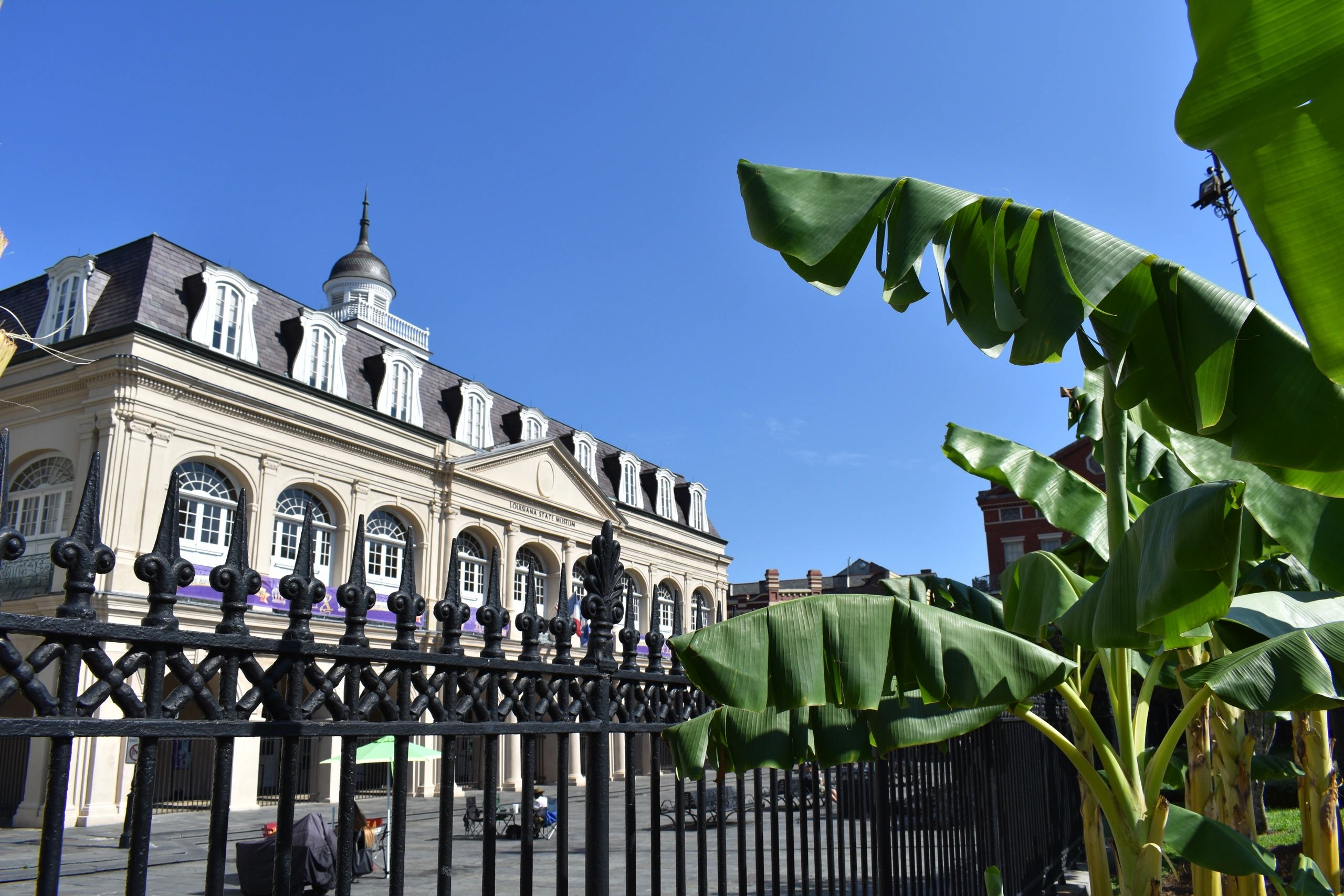 french-quarter-tours