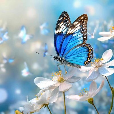 AI generated image of blue butterfly sitting on white flowers