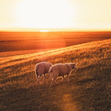Sunset over the ocean with dramatic clouds and golden rays