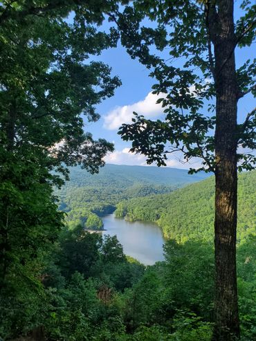 Hike at Hungry Mother State Park