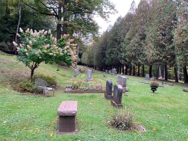 Scenic section of Lakewood Cemetery Cooperstown with tall row of trees