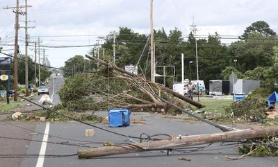 Power Outages caused by storm knocked down trees